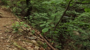 Live Work Play: Taejo Mountain