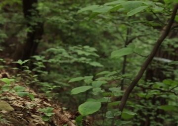 Live Work Play: Taejo Mountain