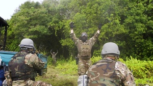 PAC IRON combat training
