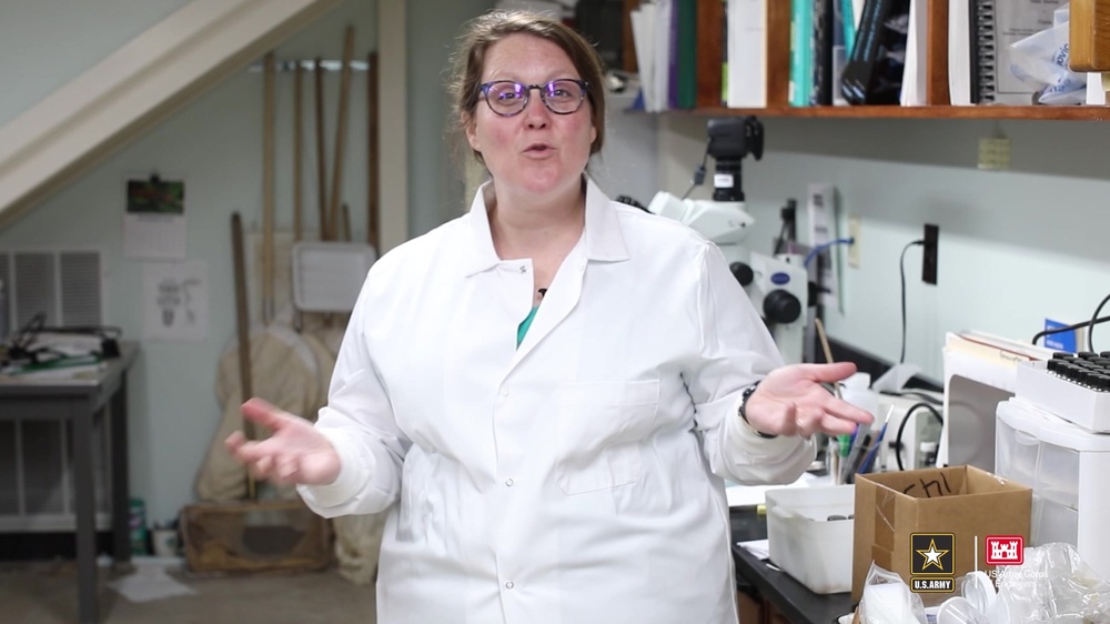 DVIDS - Video - ERDC's Environmental Laboratory members discuss ...