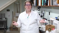 ERDC's Environmental Laboratory members discuss research investigating how to combat invasive species