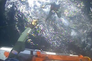 Coast Guard medevacs diver 46 miles east of Cape May, NJ