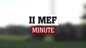 MEF Minute