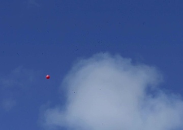 U.S. Army Paradrop B Roll at Exercise Talisman Sabre 21 (24 FPS)