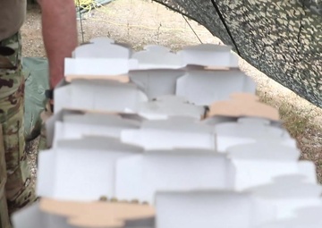 B-ROLL: 3-1 Assault Helicopter Battalion conducts aerial gunnery exercise in Bulgaria