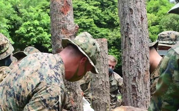 Cobra Gold: U.S., Royal Thai Marines Construct Counter-Mobility Obstacle