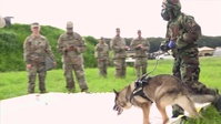 Military Working Dog CBRN Decon Training