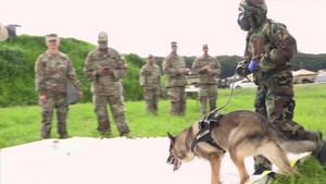 Military Working Dog CBRN Decon Training