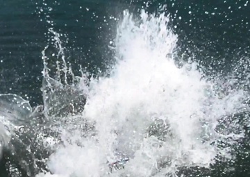 Navy Expeditionary Combat Command Forces Participate in LSE 2021