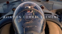 The Aviation Combat Element