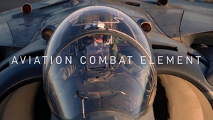 The Aviation Combat Element