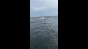 Coast Guard rescues 3 people from vessel taking on water near the St. Petersburg Pier