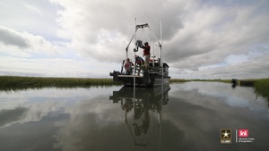 ERDC researches new ways to protect bird habitats in estuaries