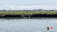 ERDC conducts beneficial use dredging research in New Jersey