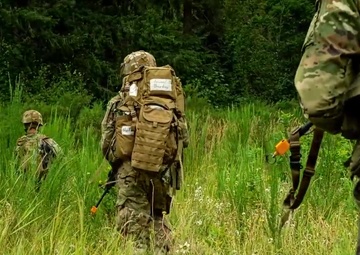 Security Forces Assistance Command, (SFAC)