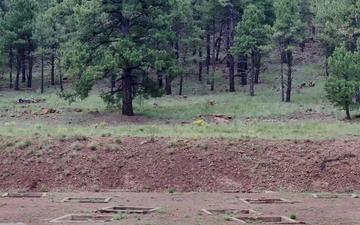 161st ARW Defenders conduct Annual Training at Camp Navajo