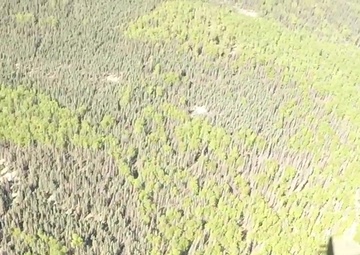 Spartan National Airborne Day