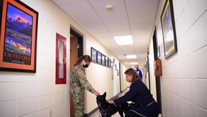 Tai the Wing Morale Dog