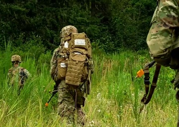 Security Forces Assistance Command, (SFAC)
