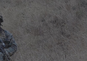 Super Squad 21: 3d LAR at R219