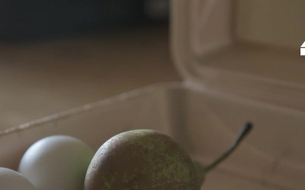 Food Preparation