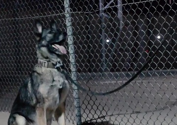 ASAB Bound: K-9 Team wins AFCENT Defender of the Month (B-Roll)