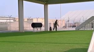 Day in the life of an ADAB military working dog handler and his partner.