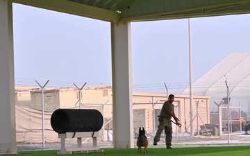 Day in the life of an ADAB military working dog handler and his partner.
