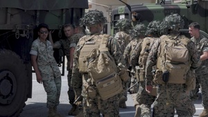 2/3 Rapid Response Drill B-Roll