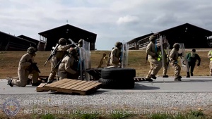 Operation Rehearsal Exercise Level 2