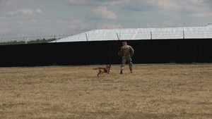 Operation Rehearsal Exercise Level 2 – Military Working Dogs (B-roll)
