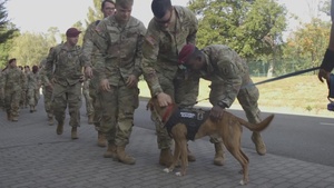 Emotional support dog Goliath assists OAR personnel