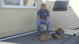 Emotional support dog Goliath assists OAR personnel interview