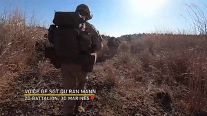 2d Battalion, 3d Marines Rapid Response Inspection