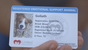 Emotional Support Dog Goliath emotionally assists OAR personnel