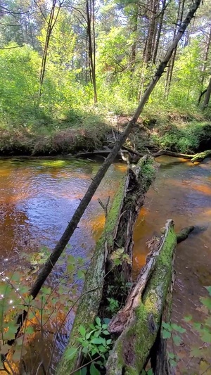 Scenic View of La Crosse River at Pine View Recreation Area at Fort McCoy