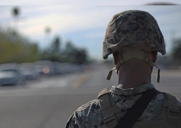 Security Augmentation Force