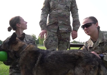 914 ARW trains with U.S. Army medics for battlefield medical treatment &amp; K-9 support