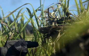 Indo-Pacific Armies Chiefs Conference: Snipers