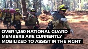 National Guard Wildfire Mission