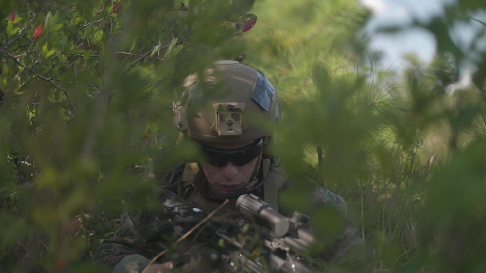 DVIDS - Video - B-Roll: 2d Recon Hasty Ambush Drills