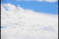 ROKAF Black Eagles Visit the Wolf Pack