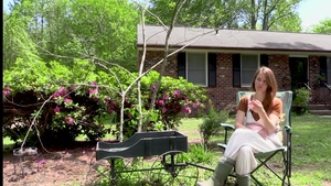 Gardening, Growth & Chickens B-Roll