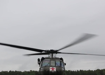 3rd Combat Aviation Brigade Dragoncannes 2 submission