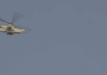 WTI 1-22: AOD IP warm-up