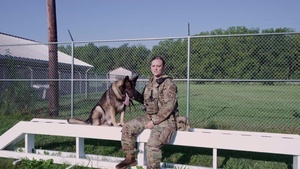 WPAFB Military Working Dogs
