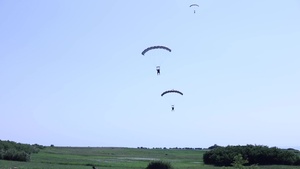 Feeling free