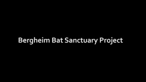 Bergheim Bat Sanctuary Interviews