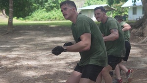 Clearing the Danger in Peleliu