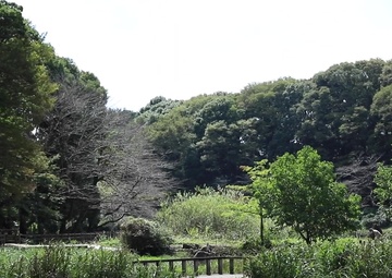 Chaplain (Maj.) Mark A. Johnston shares a story of suicide prevention